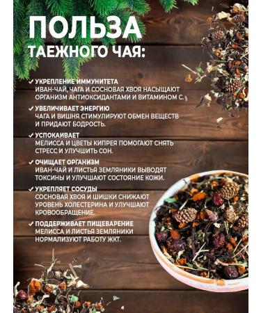 FOREST LINE Gift taiga tea collection 100g - Buy Online on GoSupps.com