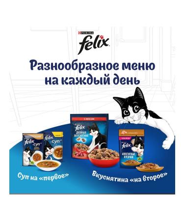 FELIX Wet feed appetizing pieces for cats chicken 75 g 5 pcs - Buy Online on GoSupps.com