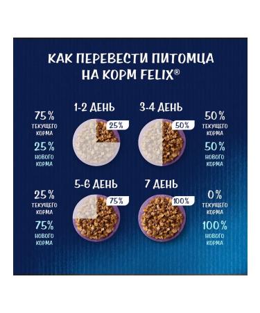 FELIX Wet feed appetizing pieces for cats salmon 75 g 10 pcs - Buy Online on GoSupps.com