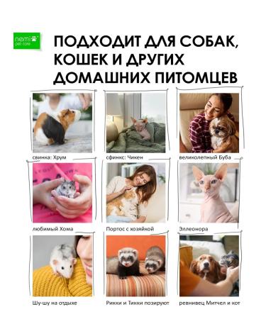 NEMI Gel patch for healing wounds 2 pcs - Buy Online on GoSupps.com