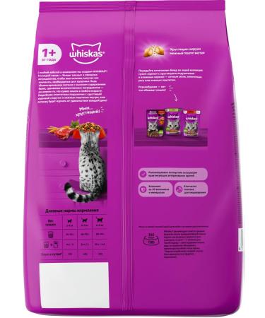 WHISKAS Feed dry appetizing lunch for cats of beef 1.3 kg 4 pcs - Buy Online on GoSupps.com
