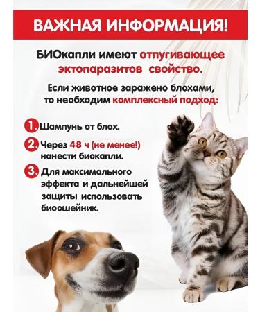 Biovax Drops on the withers for kittens from fleas and ticks - Buy Online on GoSupps.com