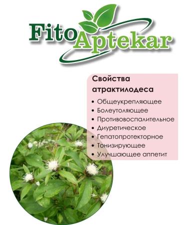 PHYTOAPTHECARIAN Atractylodes root 250 g - Buy Online on GoSupps.com
