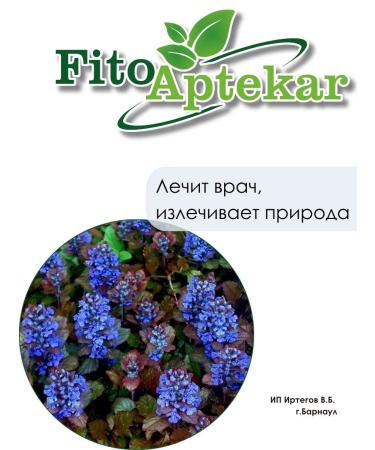 PHYTOAPTHECARIAN Living grass 500 g - Buy Online on GoSupps.com