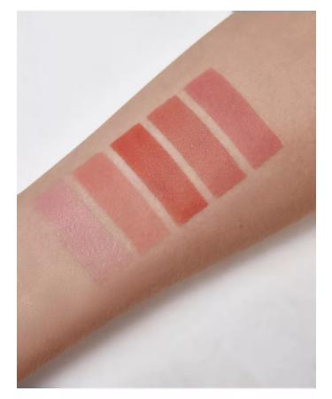 PUROBIO Bio powder-ruman tone 5 watermelons 5.2 g - Buy Online on GoSupps.com