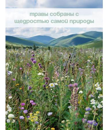 Taiga Territory Strawberry herbal tea 50 g - Buy Online on GoSupps.com