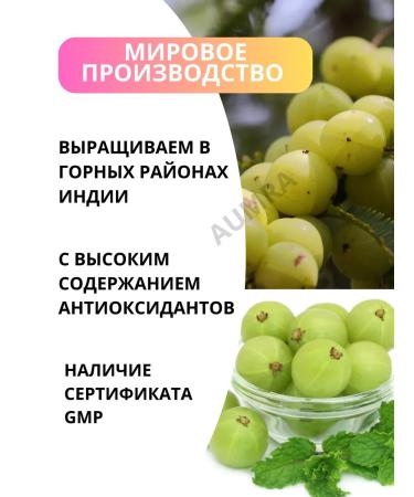 Shri Ganga AMLA 200TB amla amalaki strengthening immunity - Buy Online on GoSupps.com