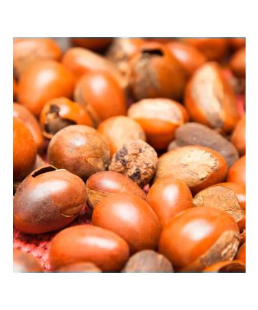 Maui Moisture Air conditioning for dry damaged hair 385 ml - Buy Online on GoSupps.com