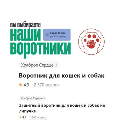 Brave heart Soft collar for cats and dogs - Buy Online on GoSupps.com