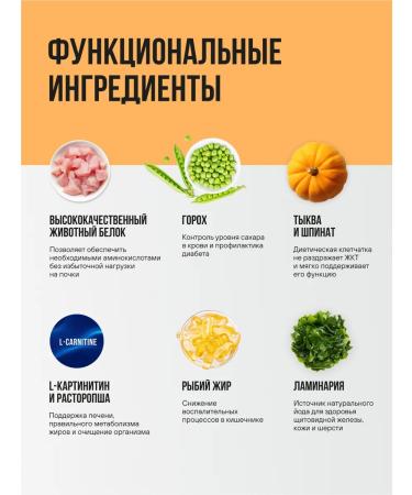 BOWL WOW Dry food for cats with turkey and pumpkin 1.5 kg - Buy Online on GoSupps.com