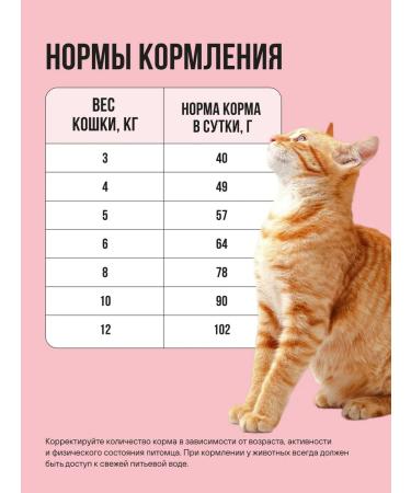 BOWL WOW Dry food for cats with turkey and apple 4 kg - Buy Online on GoSupps.com