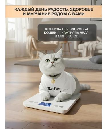 RoxFox Dry food for cats with a turkey 1.5 kg - Buy Online on GoSupps.com