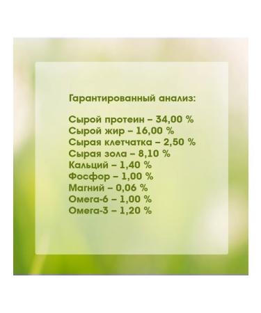 Alleva Dry equilibrium sensitive food for cats fish 1.5 kg 4 pcs - Buy Online on GoSupps.com