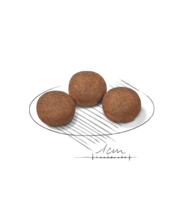 ROYAL CANIN Medium Puppy for Medium Puppies 14kg - Buy Online on GoSupps.com