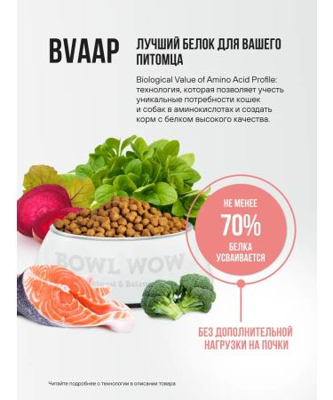 BOWL WOW for sterilized cats with salmon and broccoli 1.5 kg - Buy Online on GoSupps.com