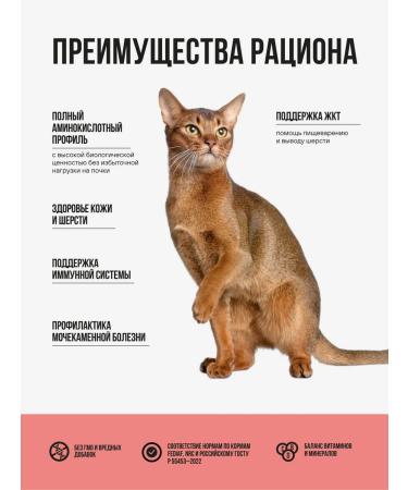 BOWL WOW for sterilized cats with salmon and broccoli 1.5 kg - Buy Online on GoSupps.com