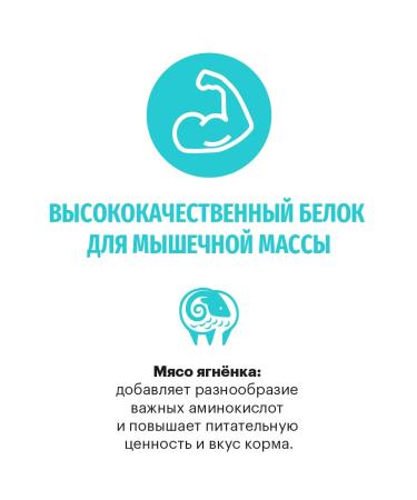 KARMY Dog food dry Hypoallergenic Mediummaxi lamb 14 kg - Buy Online on GoSupps.com