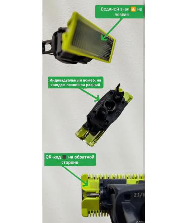 Philips Trimmer for the beard and body Oneblade Qp2724 20 5V1 - Buy Online on GoSupps.com