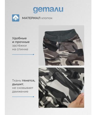 SHANTAL PETS Postoperative Popona for Dogs and Cats - Buy Online on GoSupps.com