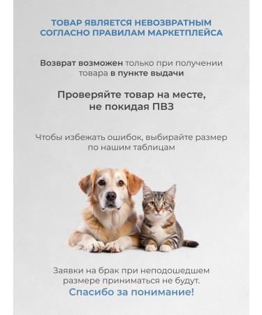 SHANTAL PETS Postoperative Popona for Dogs and Cats - Buy Online on GoSupps.com