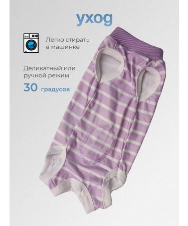 SHANTAL PETS Postoperative Popona for Dogs and Cats - Buy Online on GoSupps.com