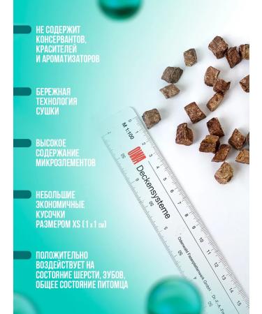 DogGuru Light beef XS 100 grams - Buy Online on GoSupps.com
