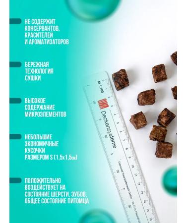 DogGuru Light beef S 1000 grams - Buy Online on GoSupps.com