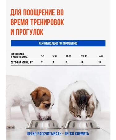 Ember Yummy for dogs 1 kg (600pcs)-chicken lacquers with pumpkin - Buy Online on GoSupps.com