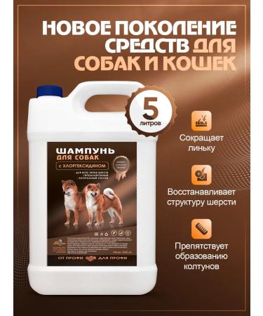 Raccoon Poloskunot Contractor-concentrate for dogs 5l with chlorhexidine