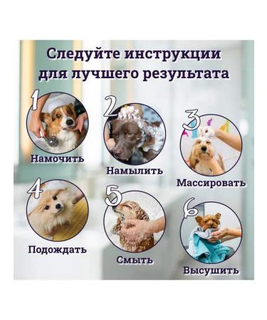 Show Tech Deep cleaning shampoo 100 ml - Buy Online on GoSupps.com