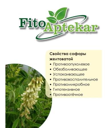 PHYTOAPTHECARIAN Sophora yellowing root 1 kg - Buy Online on GoSupps.com