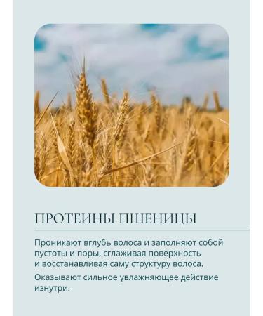 Baby Balance Shampoo for the newborn baby BB - Buy Online on GoSupps.com