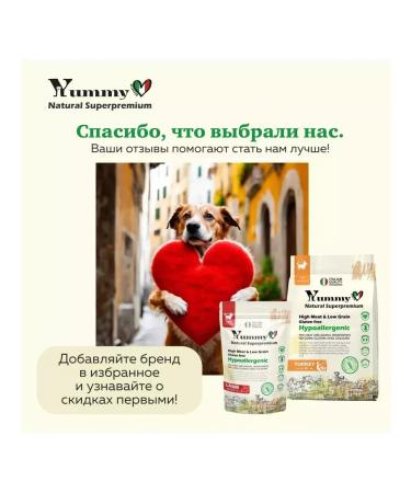Yummy Linea Story adult dogs of small breeds turkey 800 grams - Buy Online on GoSupps.com