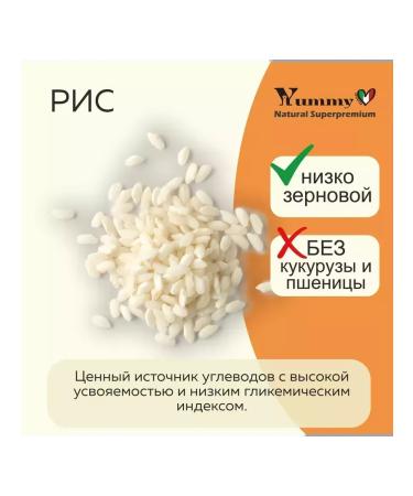 Yummy Linea Story adult dogs of small breeds turkey 800 grams - Buy Online on GoSupps.com