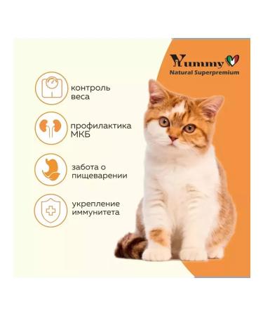 Yummy Linea Adult feed sterilized cats turkey 400 grams - Buy Online on GoSupps.com