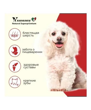 Yummy Linea Feed for puppies of small and miniature rocks lamb 800 grams - Buy Online on GoSupps.com