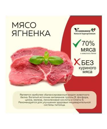 Yummy Linea Feed for puppies of small and miniature rocks lamb 800 grams - Buy Online on GoSupps.com