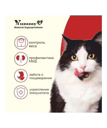 Yummy Linea Adult cat feed of all breeds lambs 2 kg - Buy Online on GoSupps.com