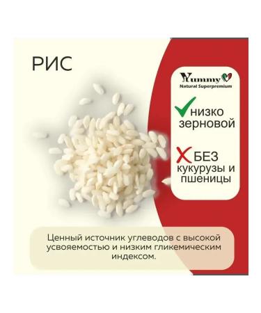 Yummy Linea Adult cat feed of all breeds lambs 2 kg - Buy Online on GoSupps.com