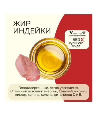 Yummy Linea Adult cat feed of all breeds lambs 2 kg - Buy Online on GoSupps.com