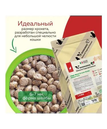 Yummy Linea Adult cat feed of all breeds lambs 2 kg - Buy Online on GoSupps.com