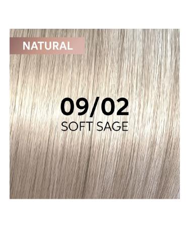 WELLA PROFESSIONALS Shinefinity 09 02 gel cream paint 60 ml - Buy Online on GoSupps.com