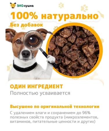 ECO-drying Light beef cubes 50 grams - Buy Online on GoSupps.com