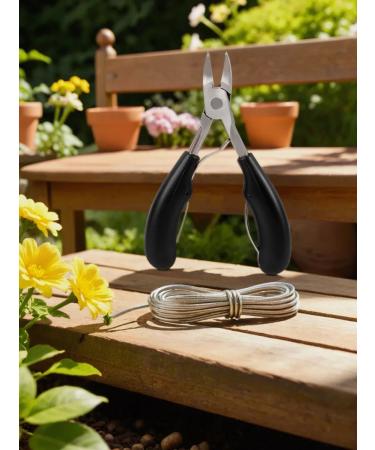 Kusachki for ingrown nails