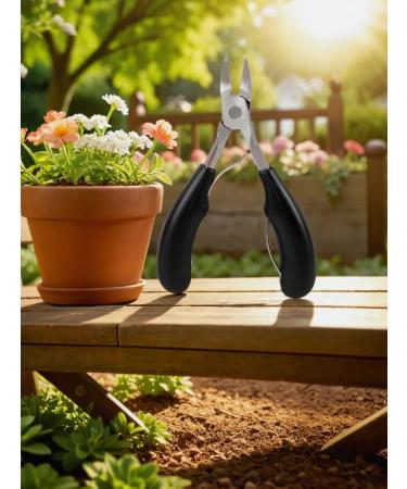 Kusachki for ingrown nails - Buy Online on GoSupps.com