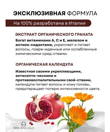 NIAMH HAIRCONCEPT Salosulfant hair shampoo Women Male No. 2 - Buy Online on GoSupps.com