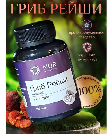 nur Reishi mycelium in capsules