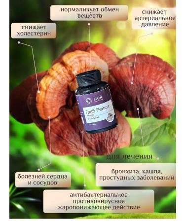 nur Reishi mycelium in capsules - Buy Online on GoSupps.com