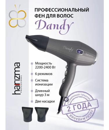 Charisma Hair hair dryer Professional Powerful Dandy