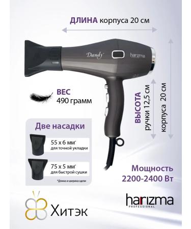 Charisma Hair hair dryer Professional Powerful Dandy - Buy Online on GoSupps.com